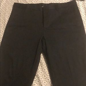 Express photographer dress pants